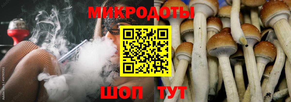 что такое   Псилоцибиновые грибы MAGIC MUSHROOMS  Галлюциногенные грибы ЛСД  Вход с VPN  Нижневартовск 